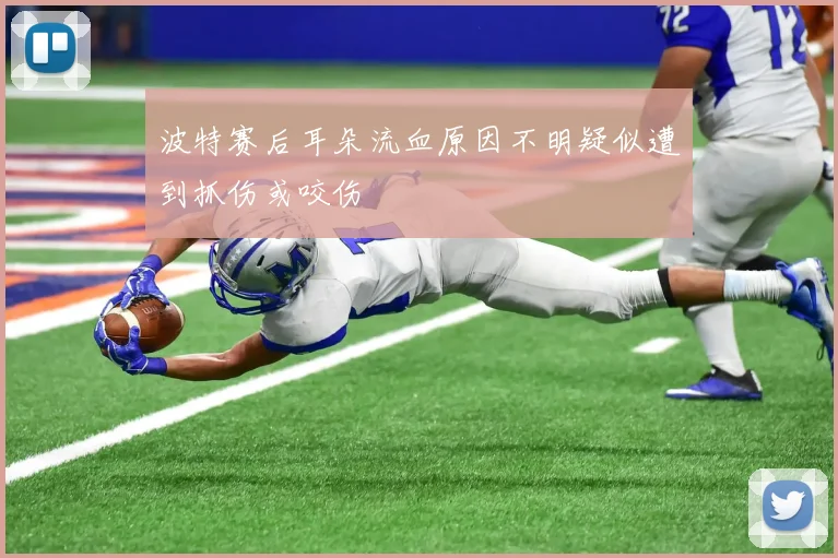 波特赛后耳朵流血原因不明疑似遭到抓伤或咬伤